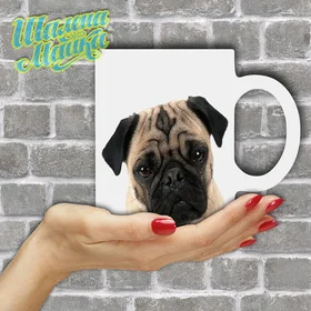 Прикольные кружки:  Animals 063 Мопс 01